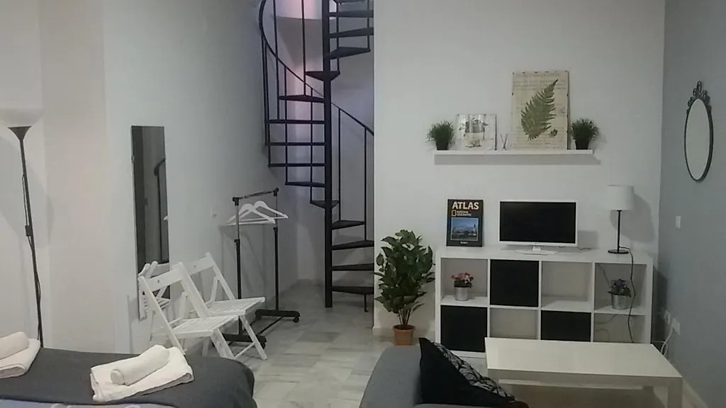 Apartamentos Calle Eduardo Ocon Malaga Spain